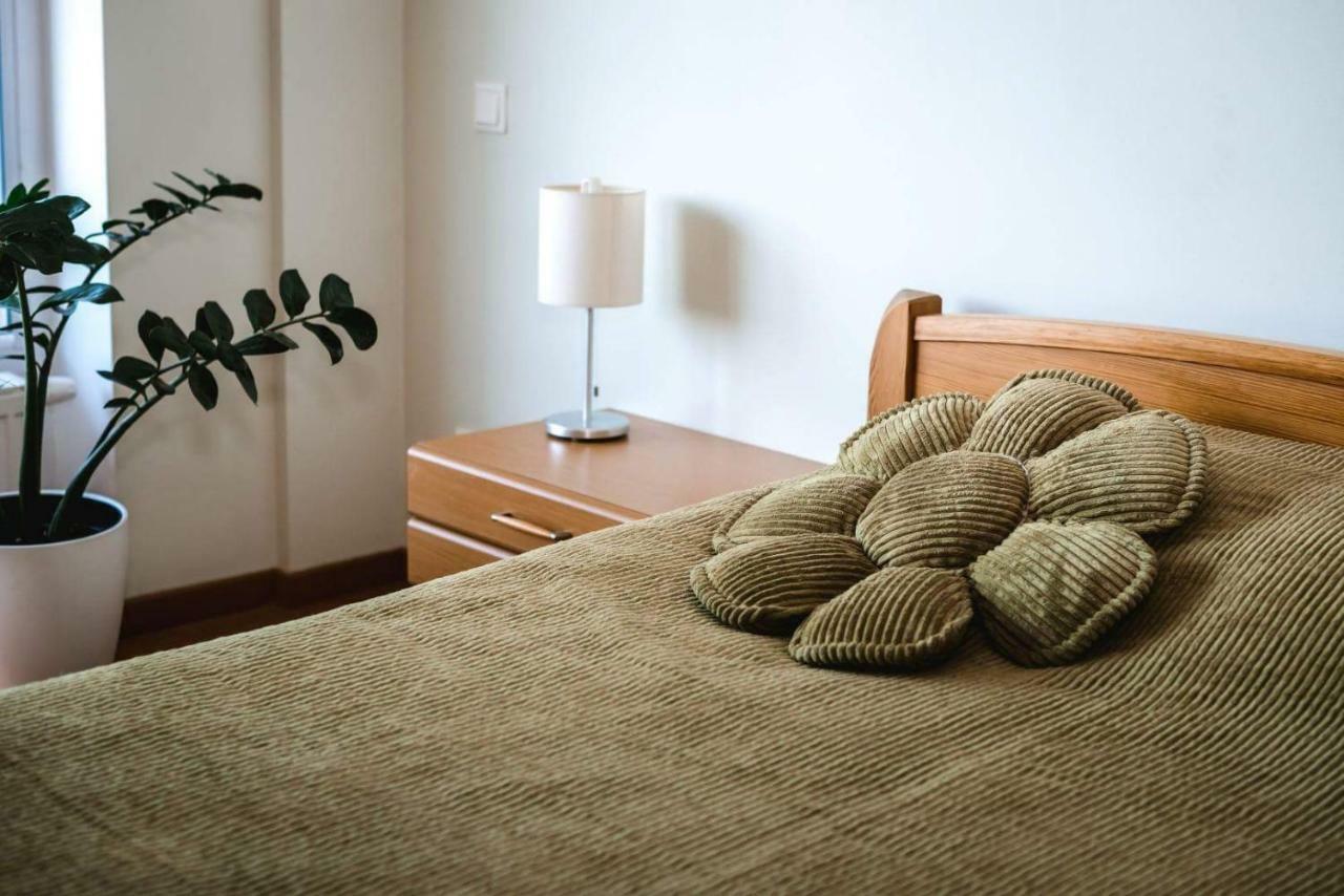 New Apartament Very Close To The City Centre VNO Exteriér fotografie
